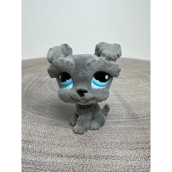 Littlest Pet Shop Special Edition #1006 Fuzzy Grey Schnauzer Dog Blue Eyes - Picture 1 of 6